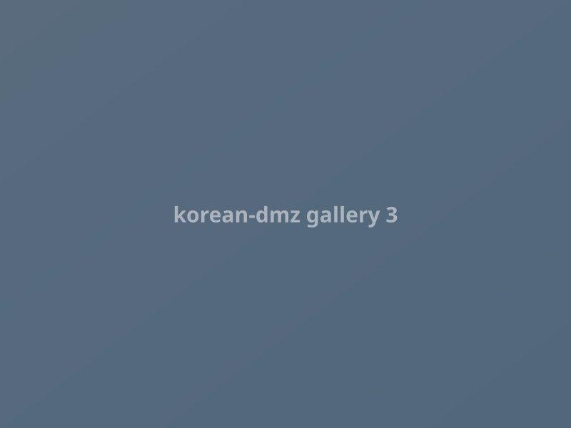 DMZ Tel Örgü